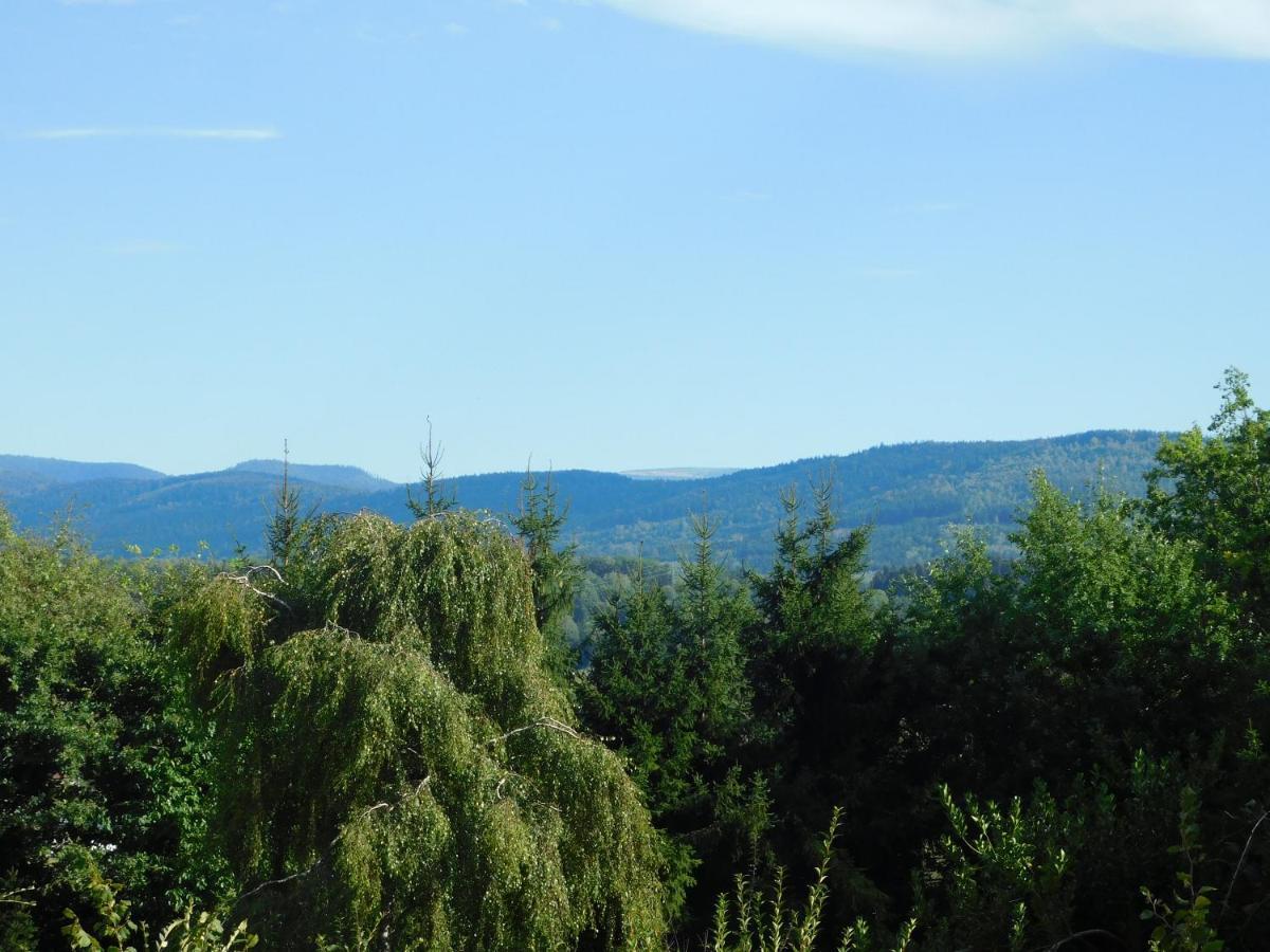 L'Amandaure Bed and Breakfast Saulcy-sur-Meurthe Exteriör bild