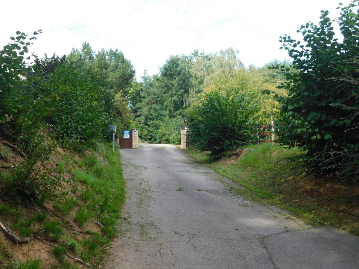 L'Amandaure Bed and Breakfast Saulcy-sur-Meurthe Exteriör bild